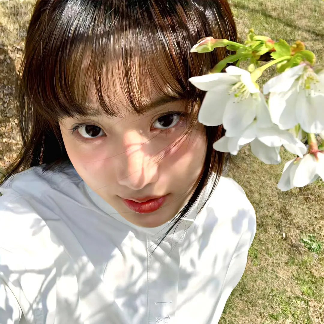 铁线蕨青